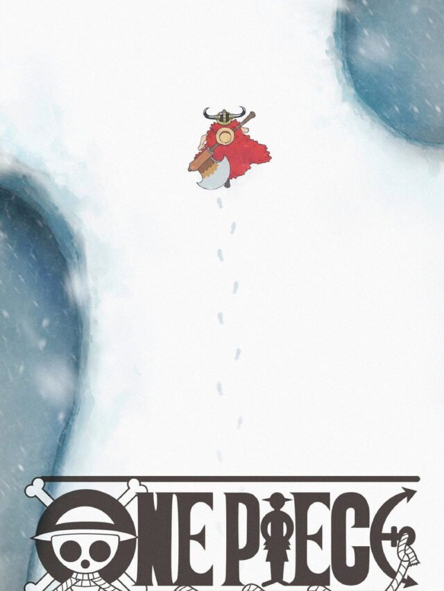 One Piece — Quick Guide